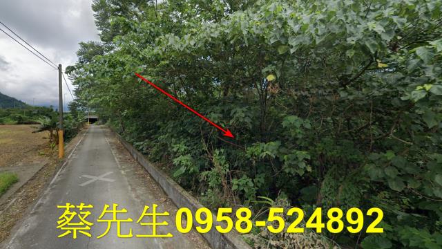 花蓮秀林法拍農地-11
