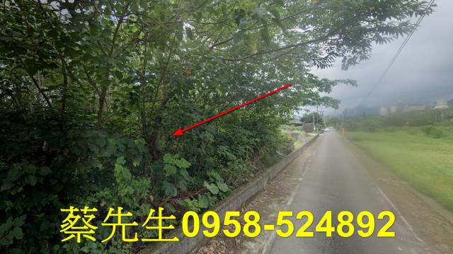 花蓮秀林法拍農地-13