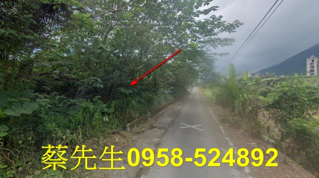 花蓮秀林法拍農地-14