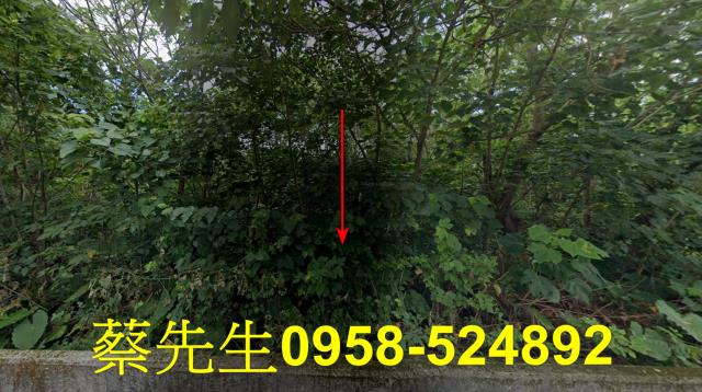花蓮秀林法拍農地-0