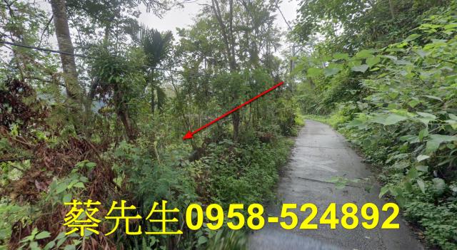 萬榮農地法拍-13