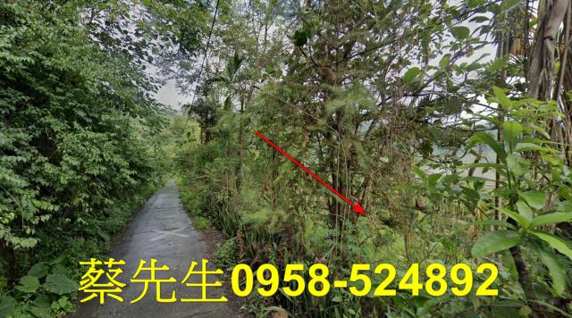 萬榮農地法拍-3