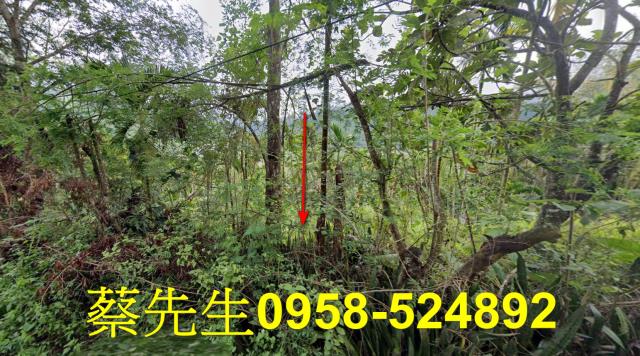 萬榮農地法拍-8