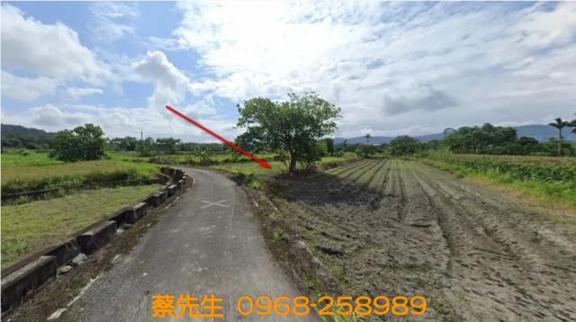 壽豐法拍農地-10