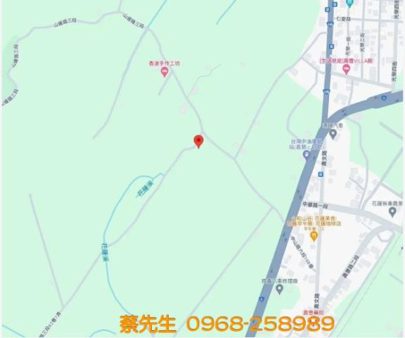 壽豐法拍農地-13