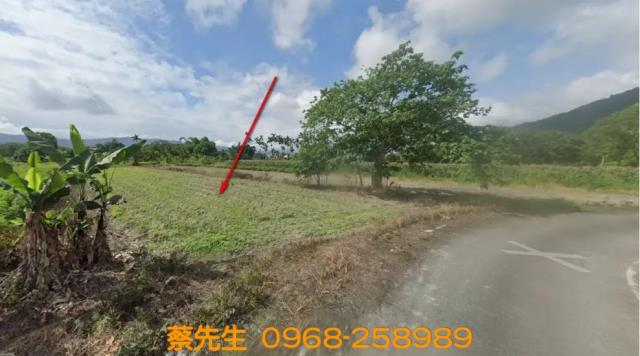 壽豐法拍農地-1