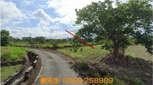 壽豐法拍農地-2