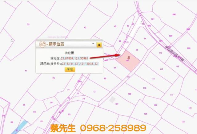 壽豐法拍農地-4