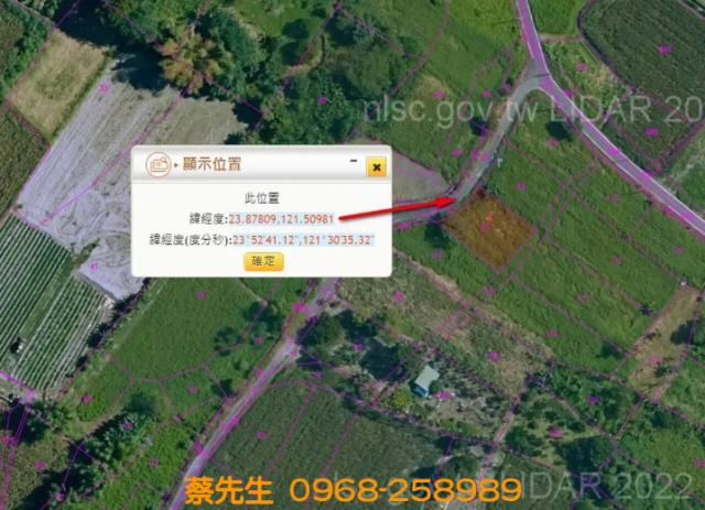 壽豐法拍農地-5