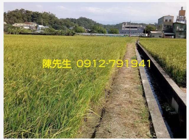 頭份農地-10