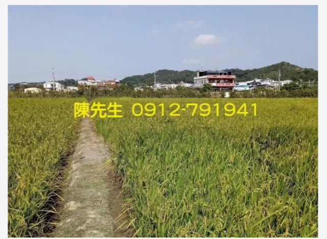 頭份農地-13