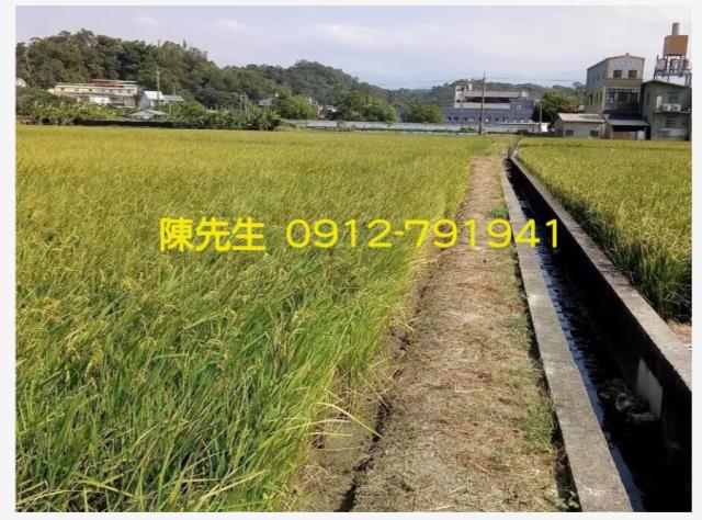 頭份農地-2