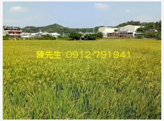 頭份農地-3
