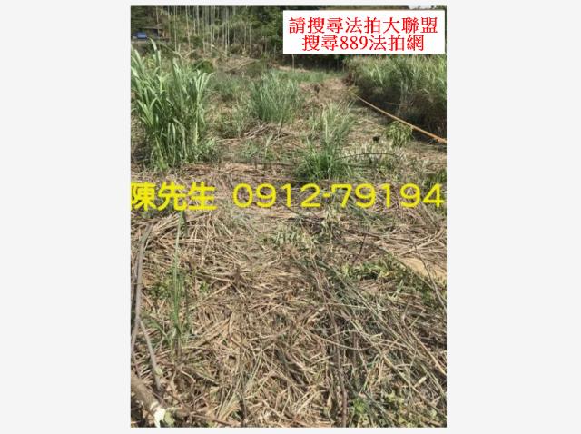 苗栗三灣農地-1