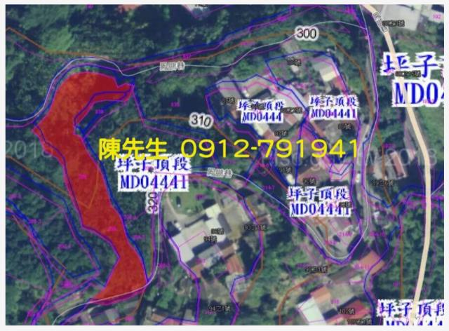 南投鹿谷拍賣農地-10