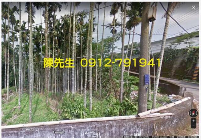 南投鹿谷拍賣農地-11