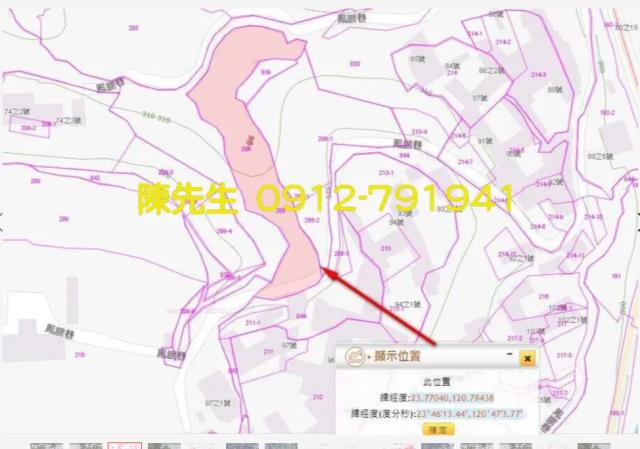 南投鹿谷拍賣農地-13