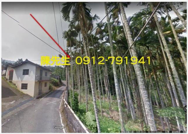 南投鹿谷拍賣農地-1