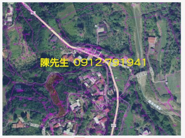南投鹿谷拍賣農地-6