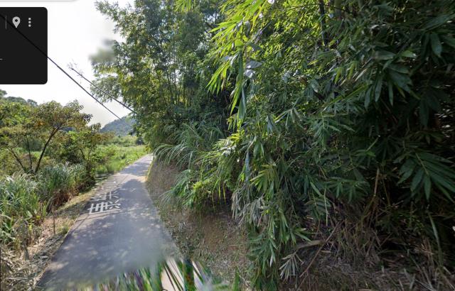 台北法拍種菜地-3