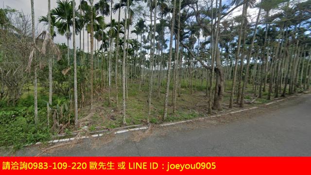 花蓮法拍農地-9