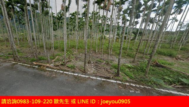花蓮法拍農地-10