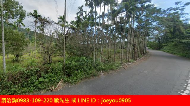 花蓮法拍農地-0