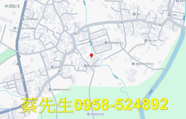 水上建地法拍-7