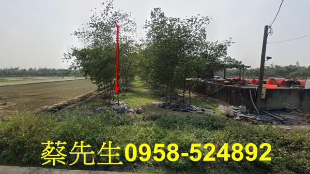 嘉義法拍農地-0