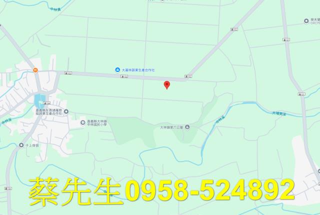 嘉義法拍農地-7