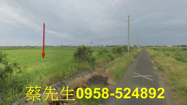 將軍農地法拍-3