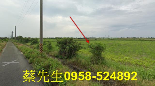 將軍農地法拍-5
