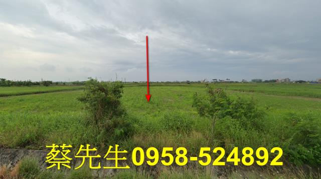 將軍農地法拍-8