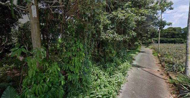 芬園法拍農地-9