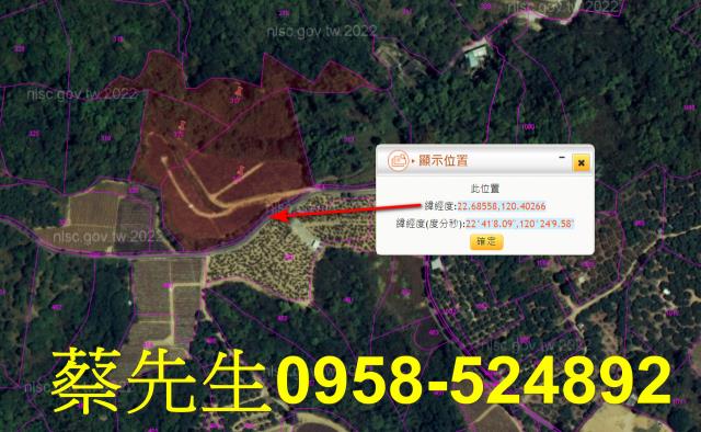 大樹農地法拍-10