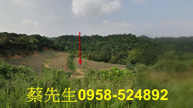 大樹農地法拍-11