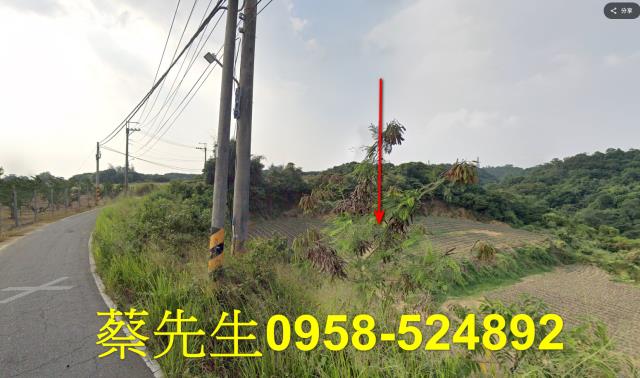 大樹農地法拍-13