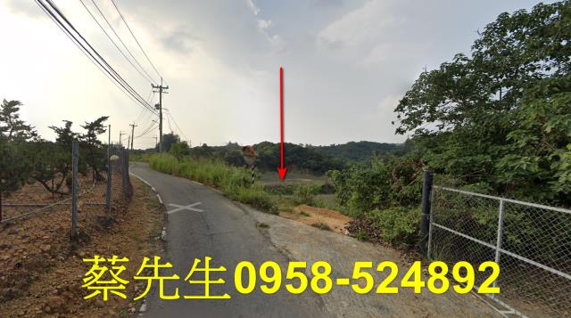 大樹農地法拍-14