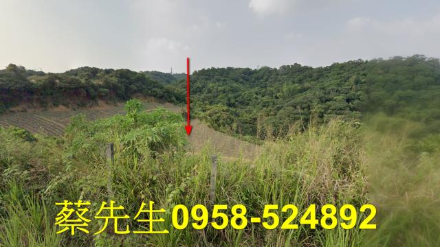 大樹農地法拍-0