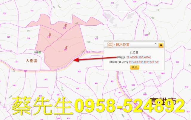 大樹農地法拍-1