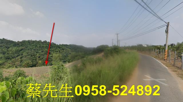 大樹農地法拍-4