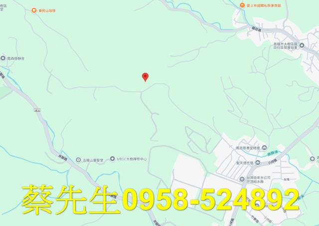 大樹農地法拍-7