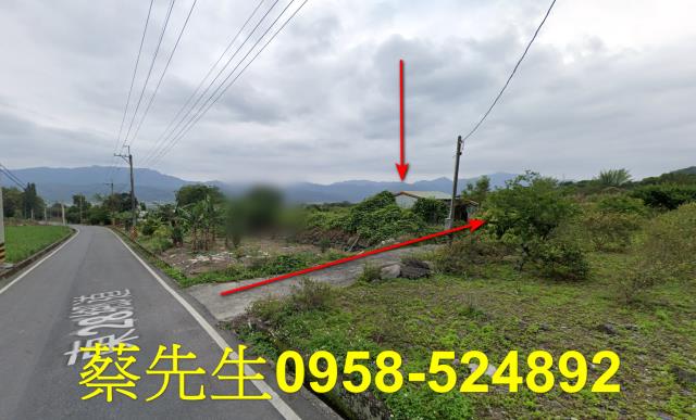 台東海端農地拍賣-11