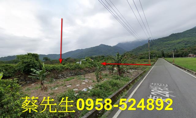 台東海端農地拍賣-13