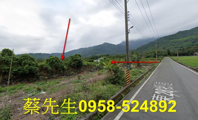 台東海端農地拍賣-14