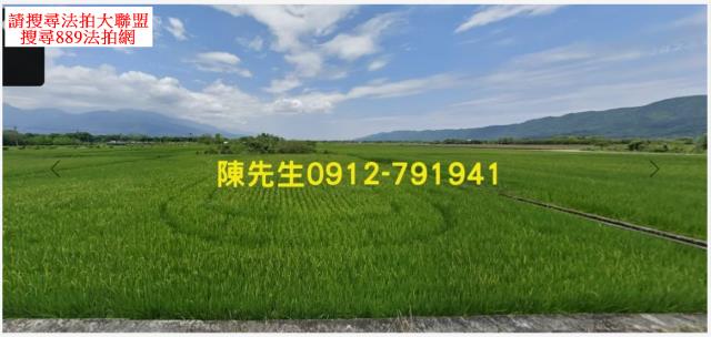 花蓮鳳林農地法拍-0