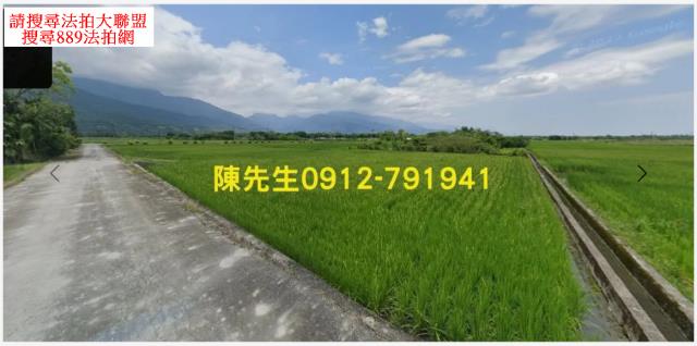 花蓮鳳林農地法拍-1