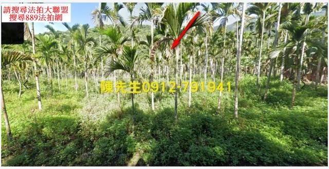花蓮壽豐農地法拍-7
