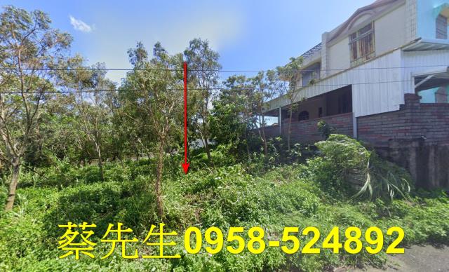 台東達仁農地法拍-11
