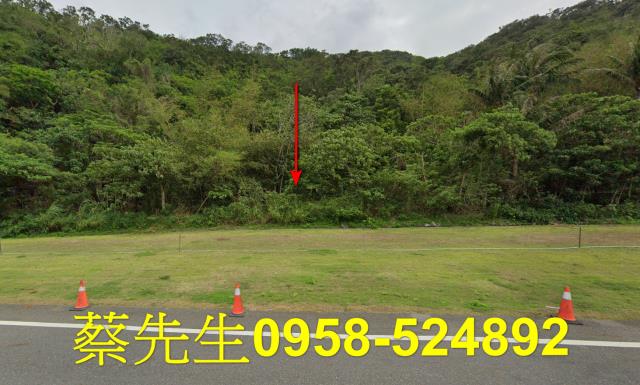 台東達仁農地法拍-6